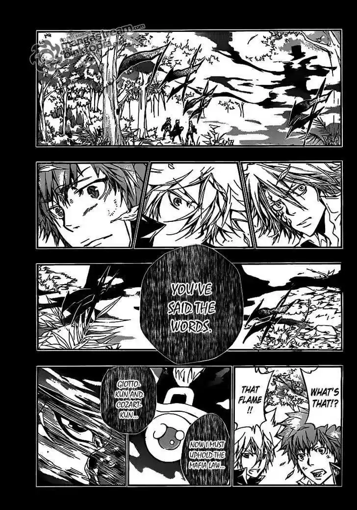 Kateikyoushi Hitman Reborn! 333