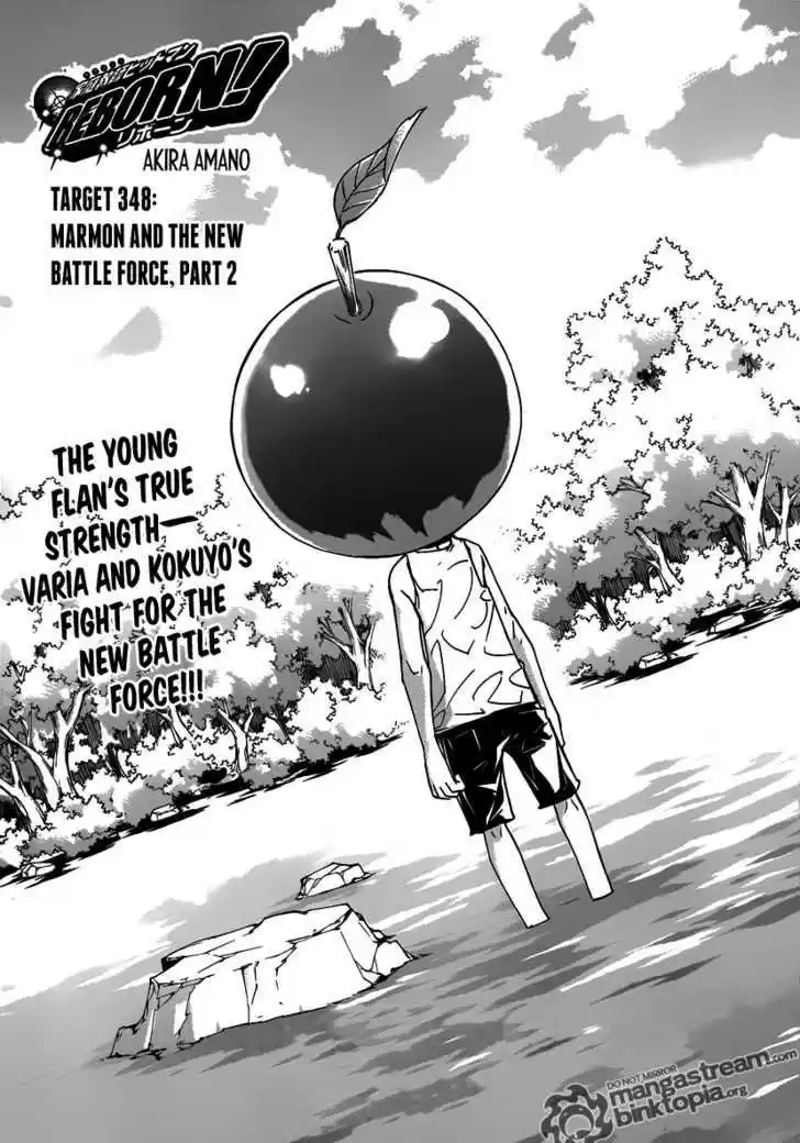 Kateikyoushi Hitman Reborn! 348