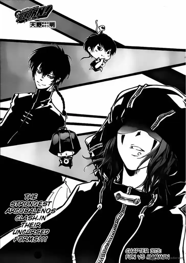 Kateikyoushi Hitman Reborn! 373
