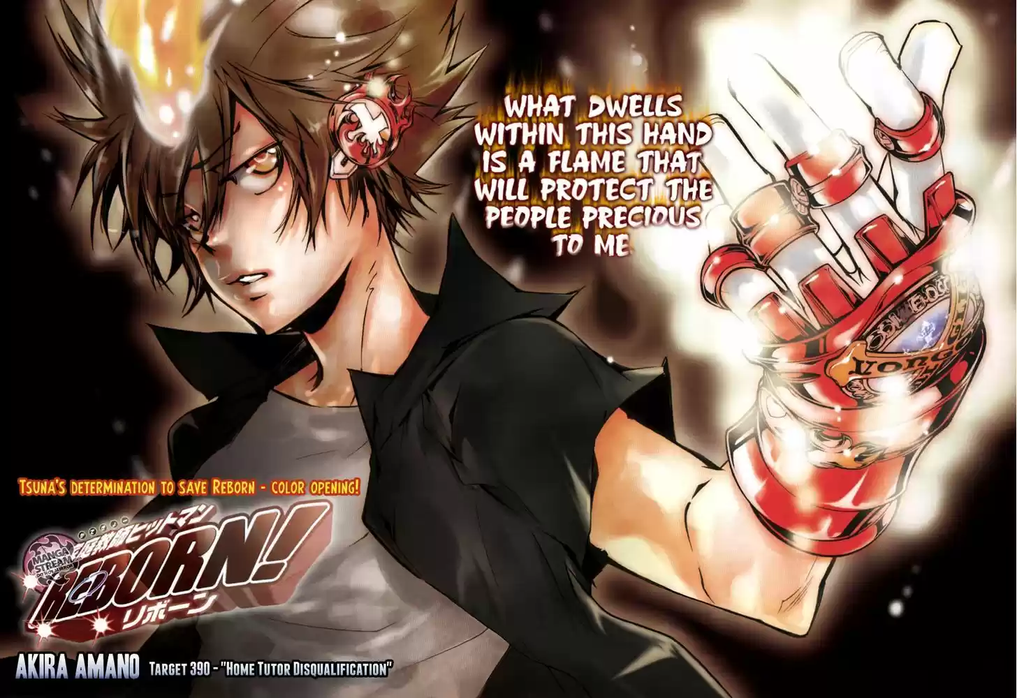 Kateikyoushi Hitman Reborn! 390