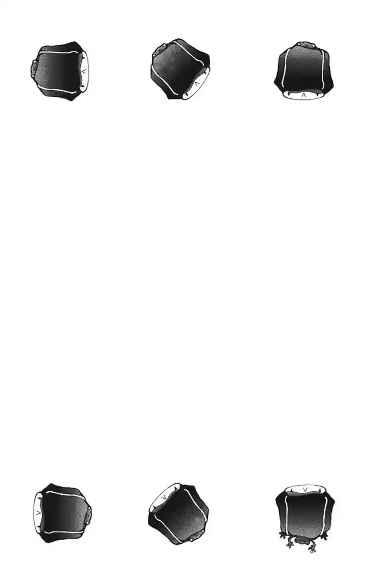 Kateikyoushi Hitman Reborn! 99