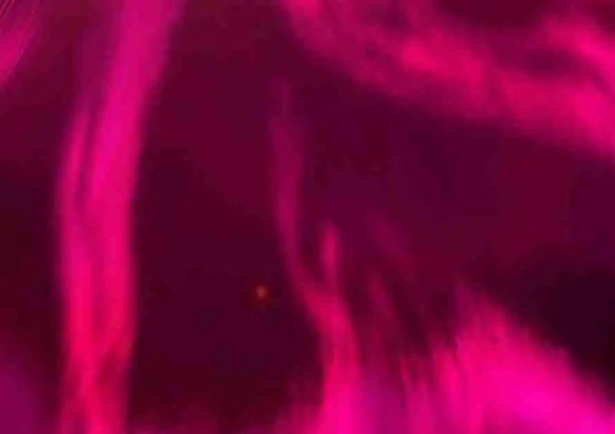 Keep a Low Profile, Sect Leader 303