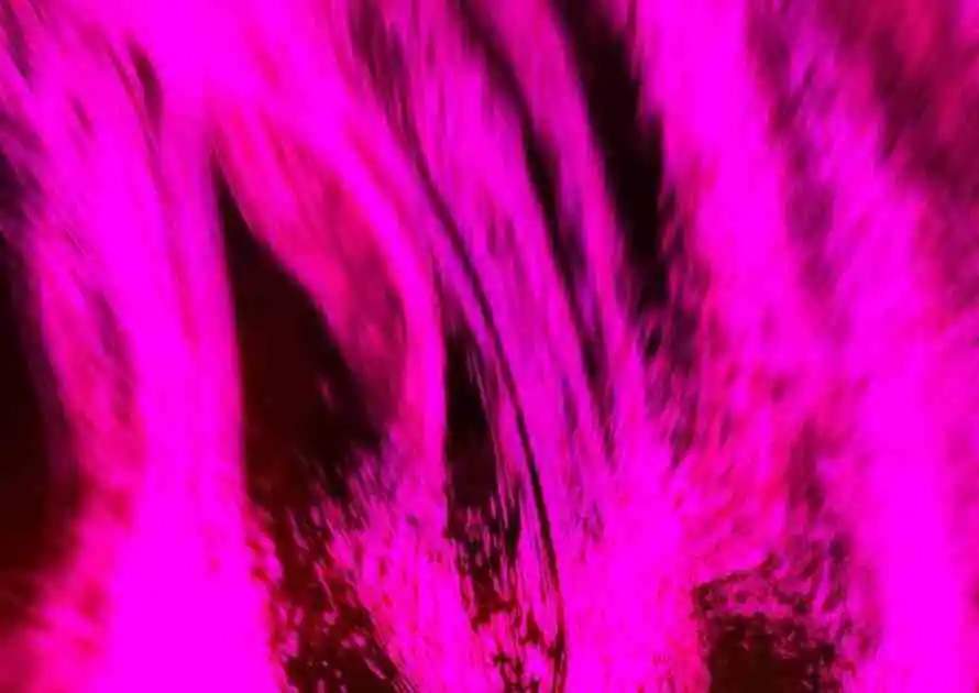 Keep a Low Profile, Sect Leader 303