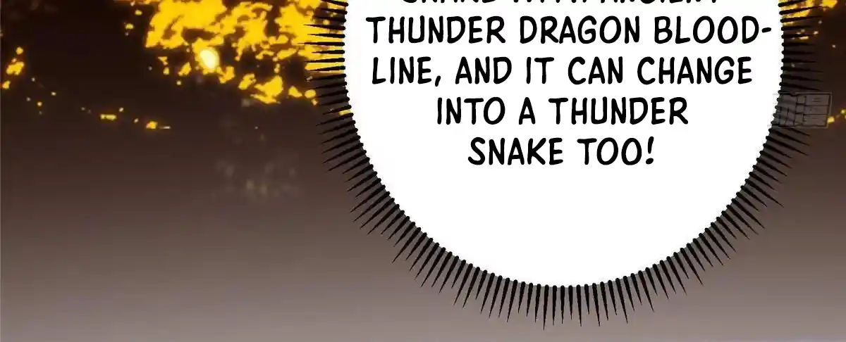 Keep a Low Profile, Sect Leader 497