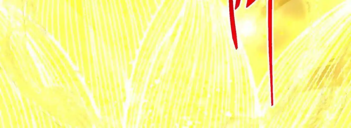 Keep a Low Profile, Sect Leader 497