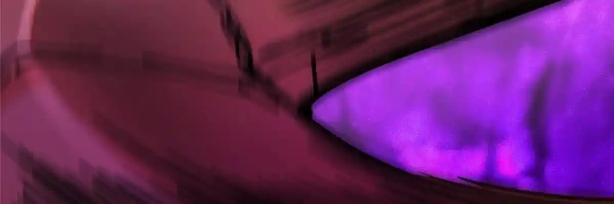 Keep a Low Profile, Sect Leader 497