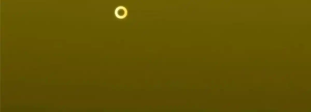 Keep a Low Profile, Sect Leader 497