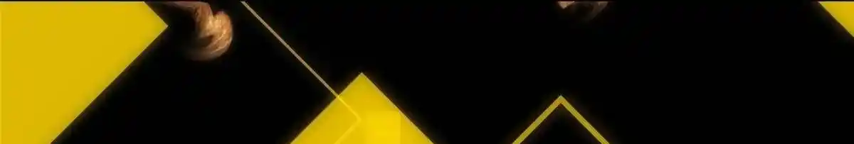 Keep a Low Profile, Sect Leader 498