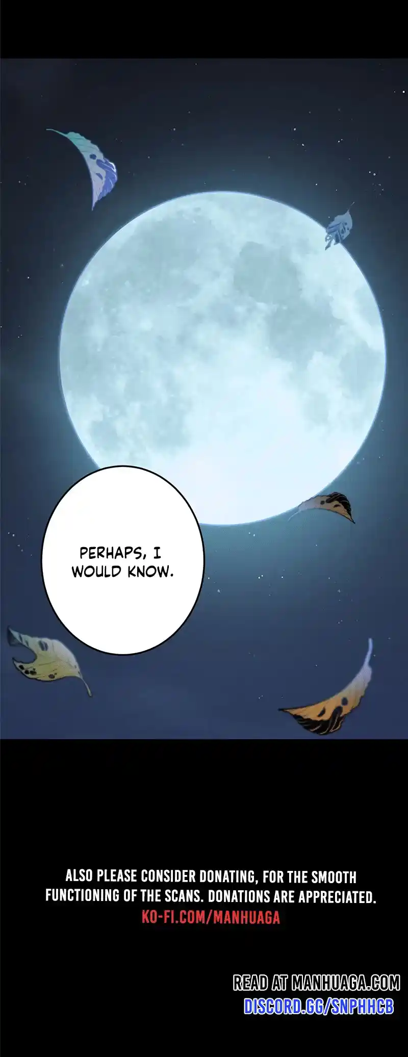 Keep A Low Profile, Sect Leader Chapter 260