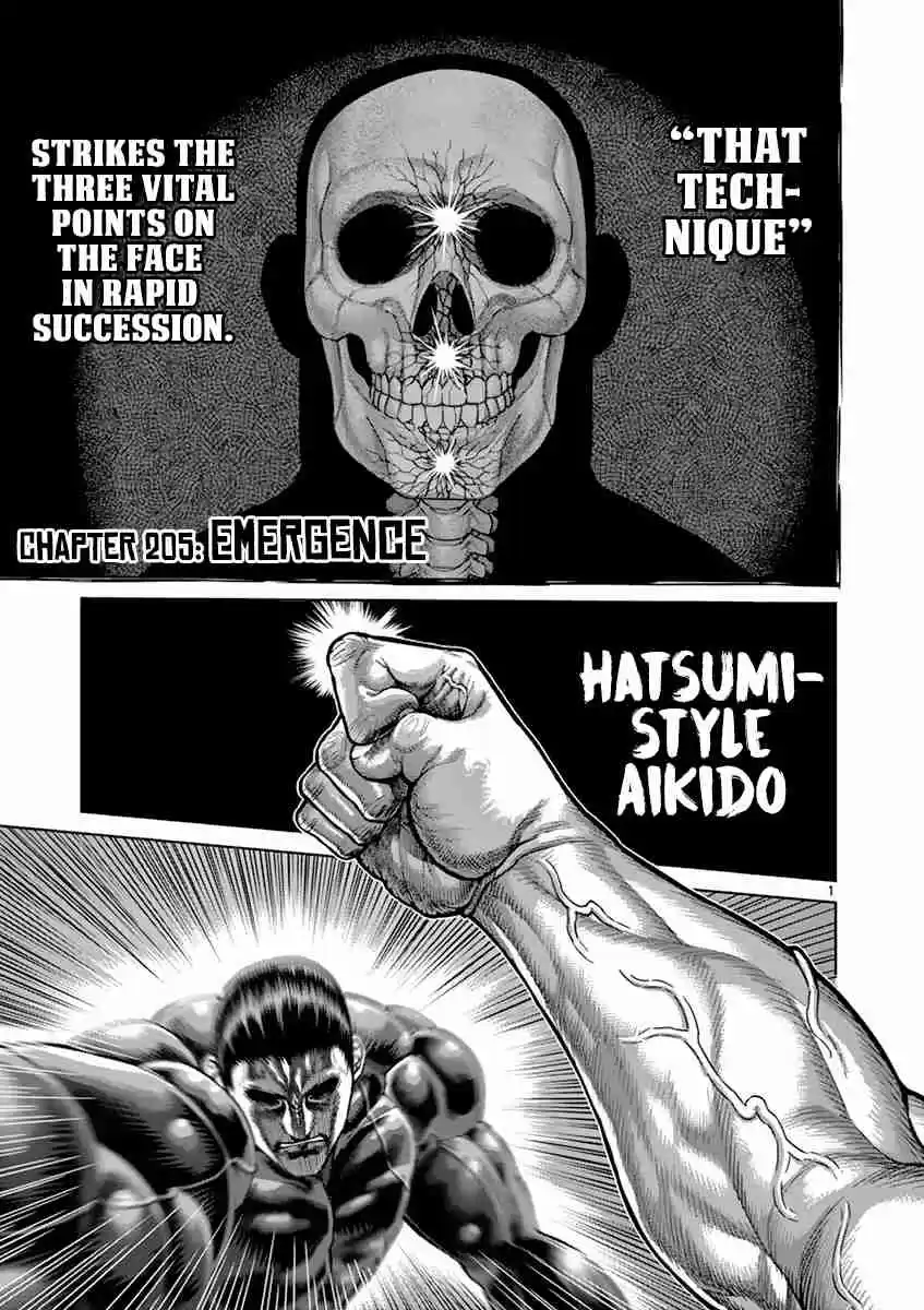 Kengan Asura Vol. 24 Ch. 205 Emergence
