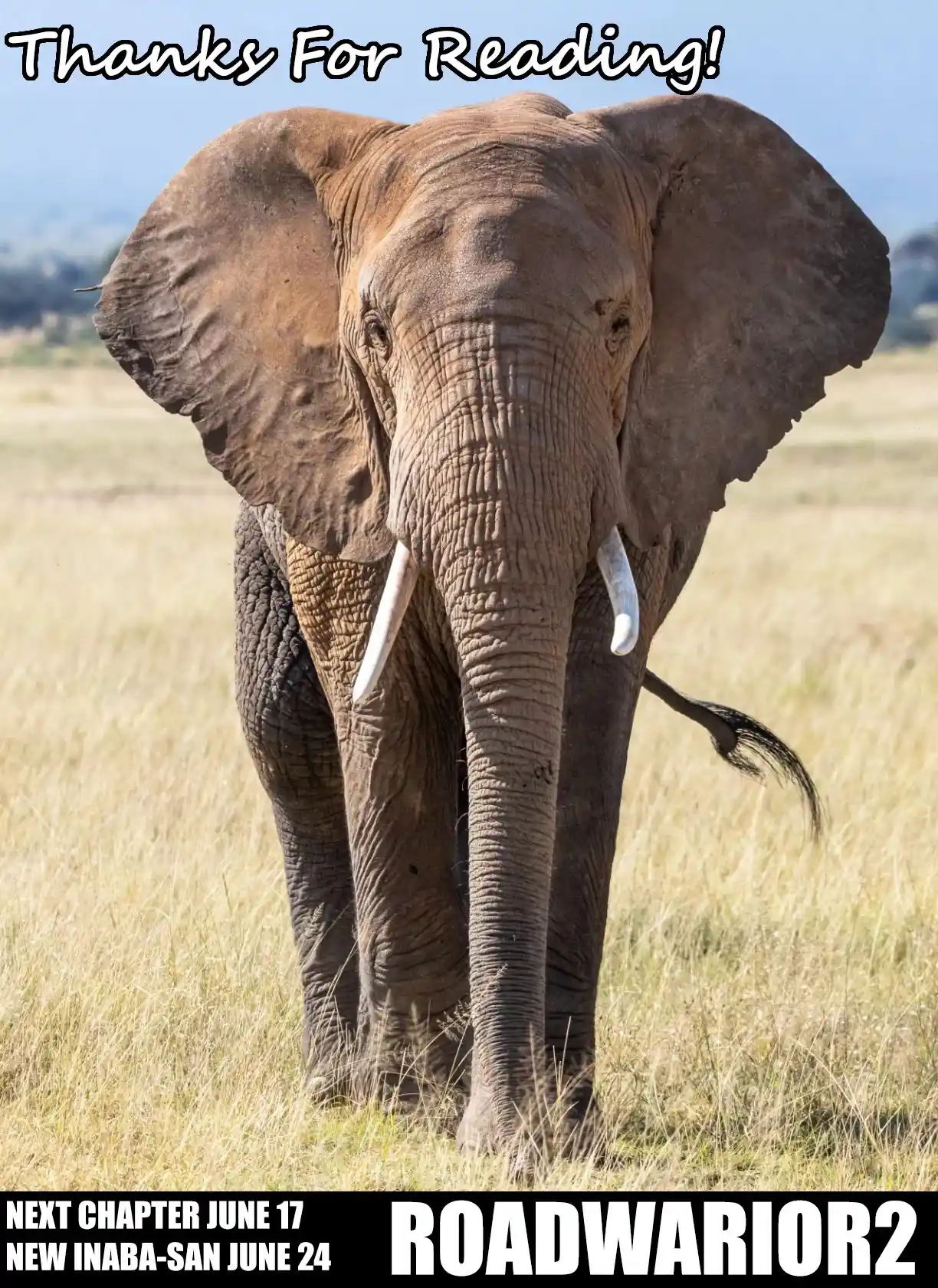 Killing Bites Chapter 98