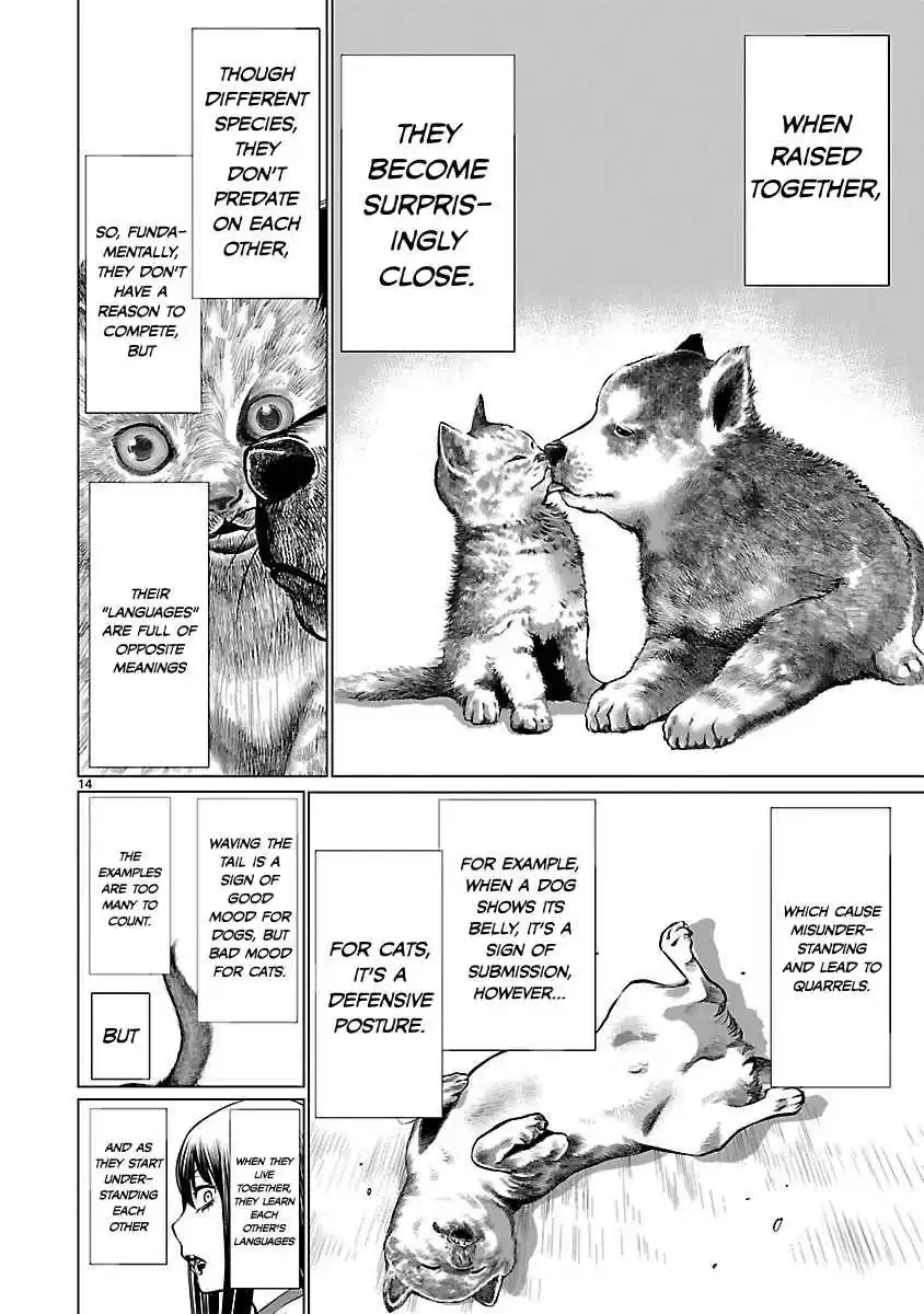 Killing Bites Vol. 8 Ch. 39 Aah what a pain