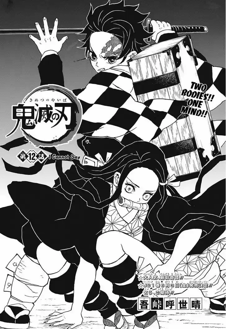 Kimetsu no Yaiba 12
