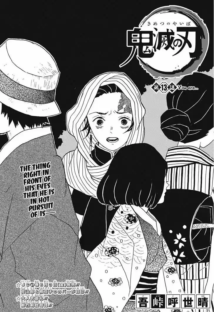 Kimetsu no Yaiba 13
