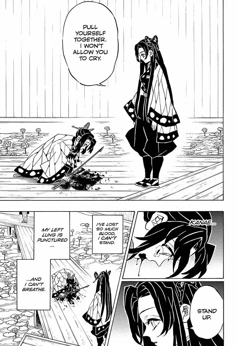 Kimetsu no Yaiba 142