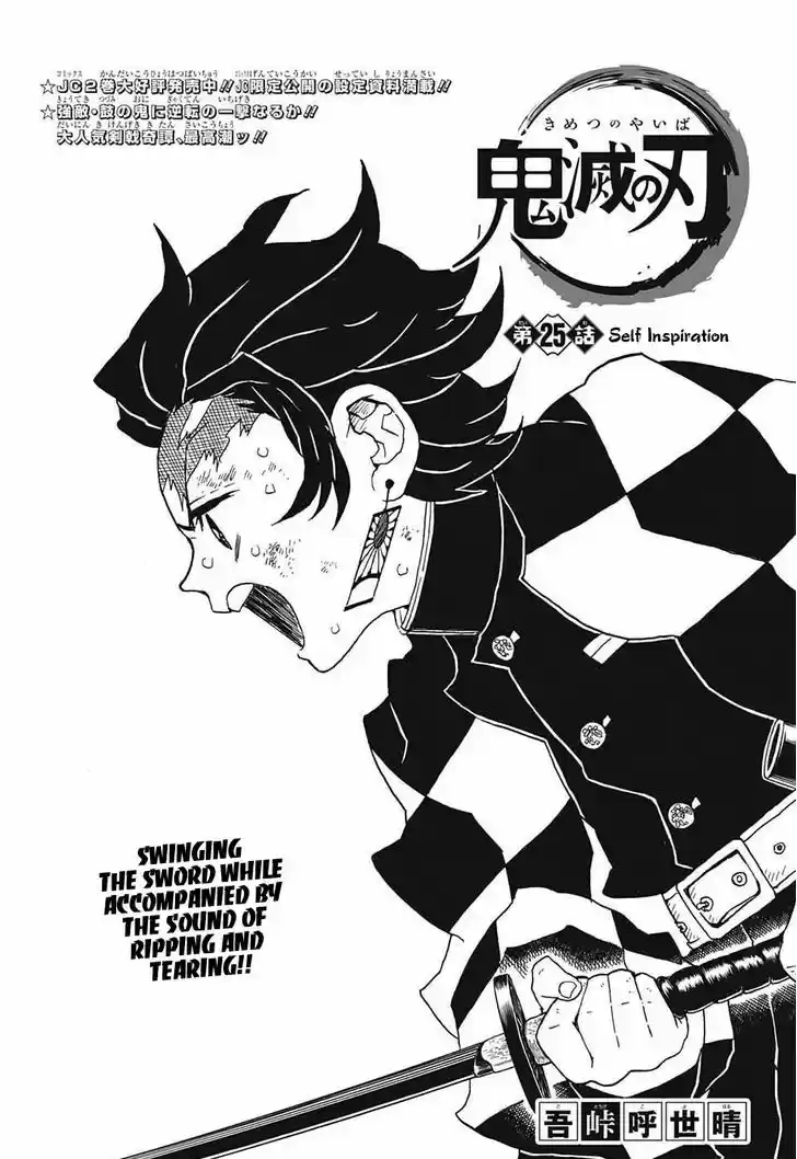 Kimetsu no Yaiba 25