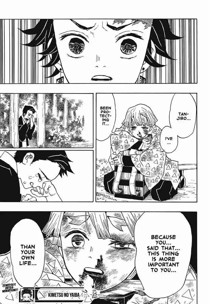Kimetsu no Yaiba 25