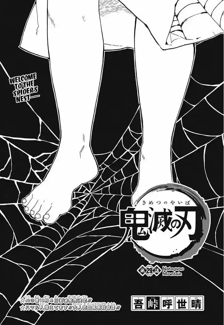 Kimetsu no Yaiba 29