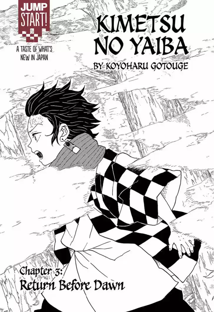 Kimetsu no Yaiba 3