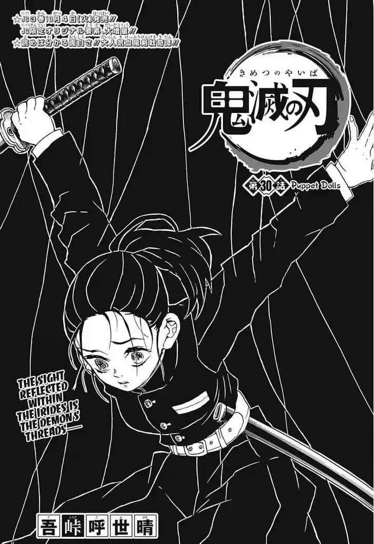 Kimetsu no Yaiba 30