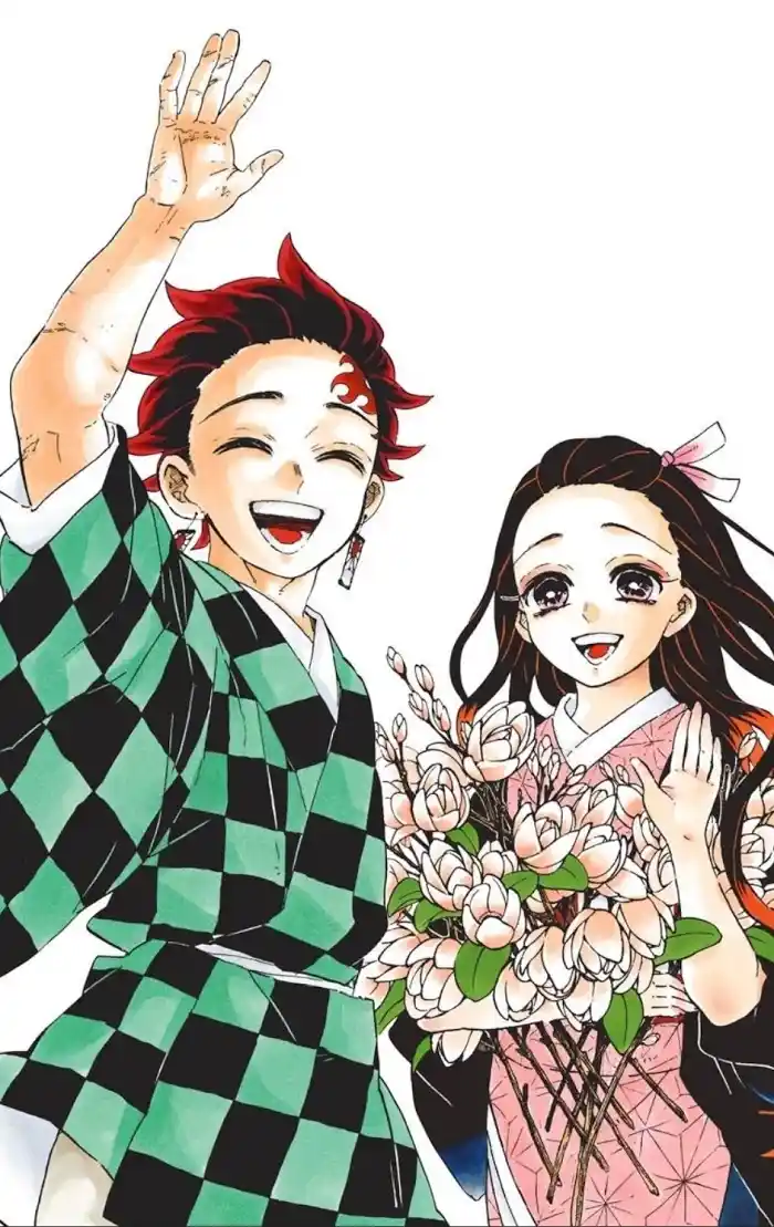 Kimetsu No Yaiba Chapter 205.6