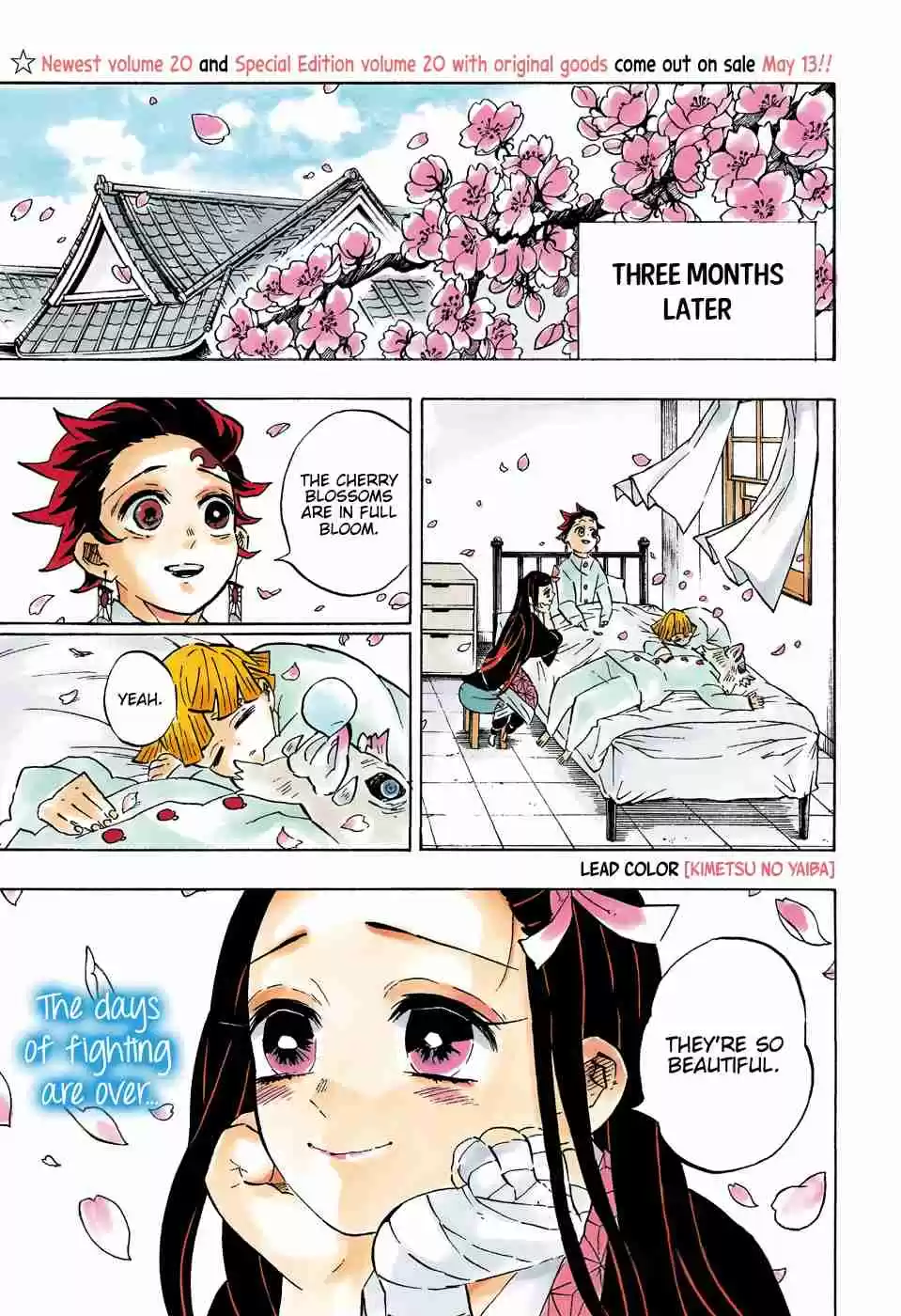 Kimetsu no Yaiba Digital Colored Comics Ch. 204 A World Without Demons