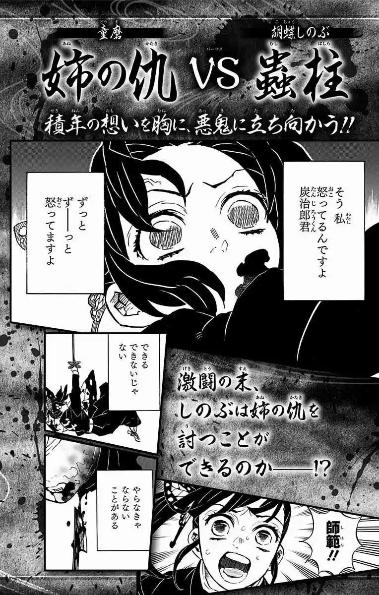 Kimetsu no Yaiba Vol. 16 Ch. 142.5 Extras