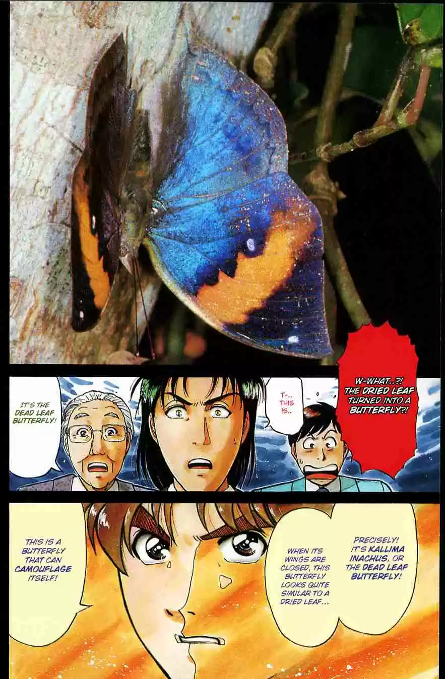 Kindaichi Shounen no Jikenbo Vol. 23 Ch. 181 (File 16) Black Butterfly Murder Case (10)