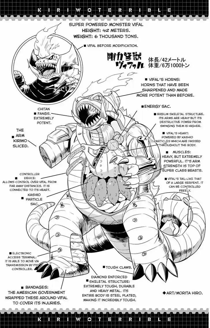Kiriwo Terrible 17.5