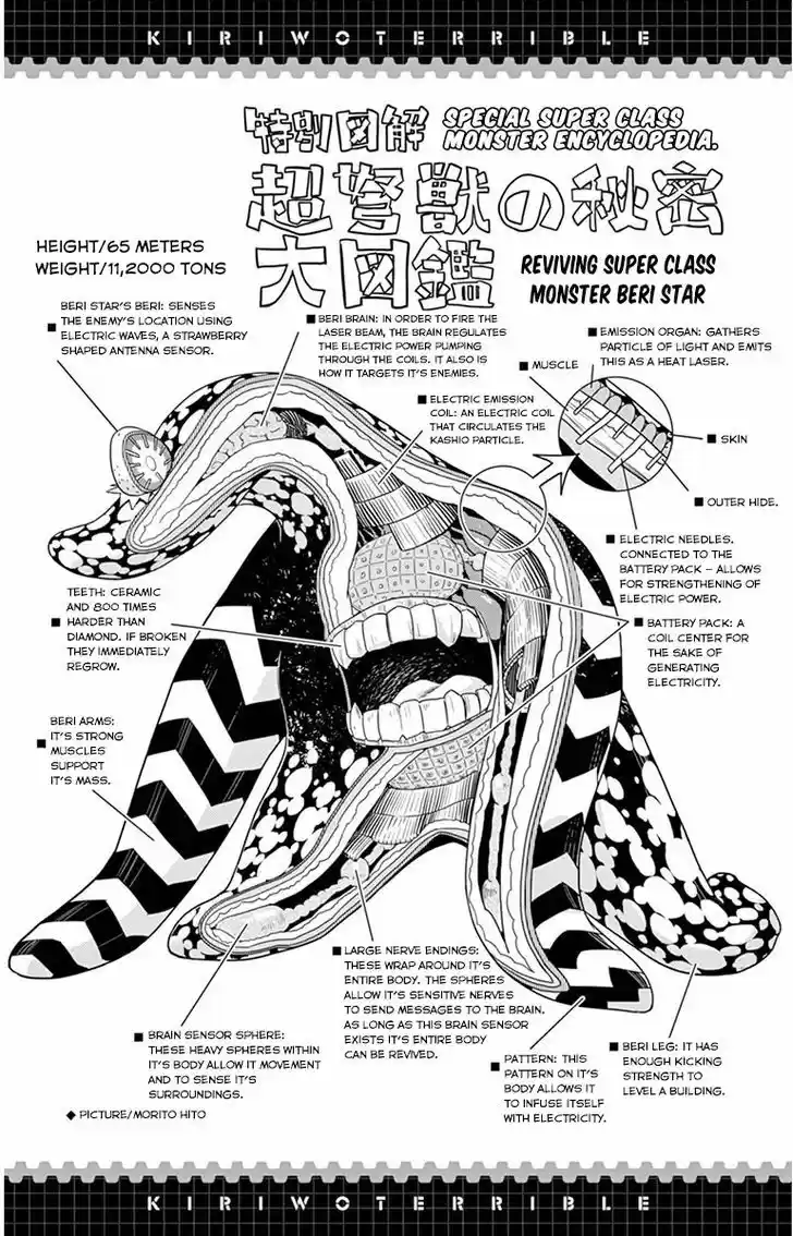 Kiriwo Terrible 27.5