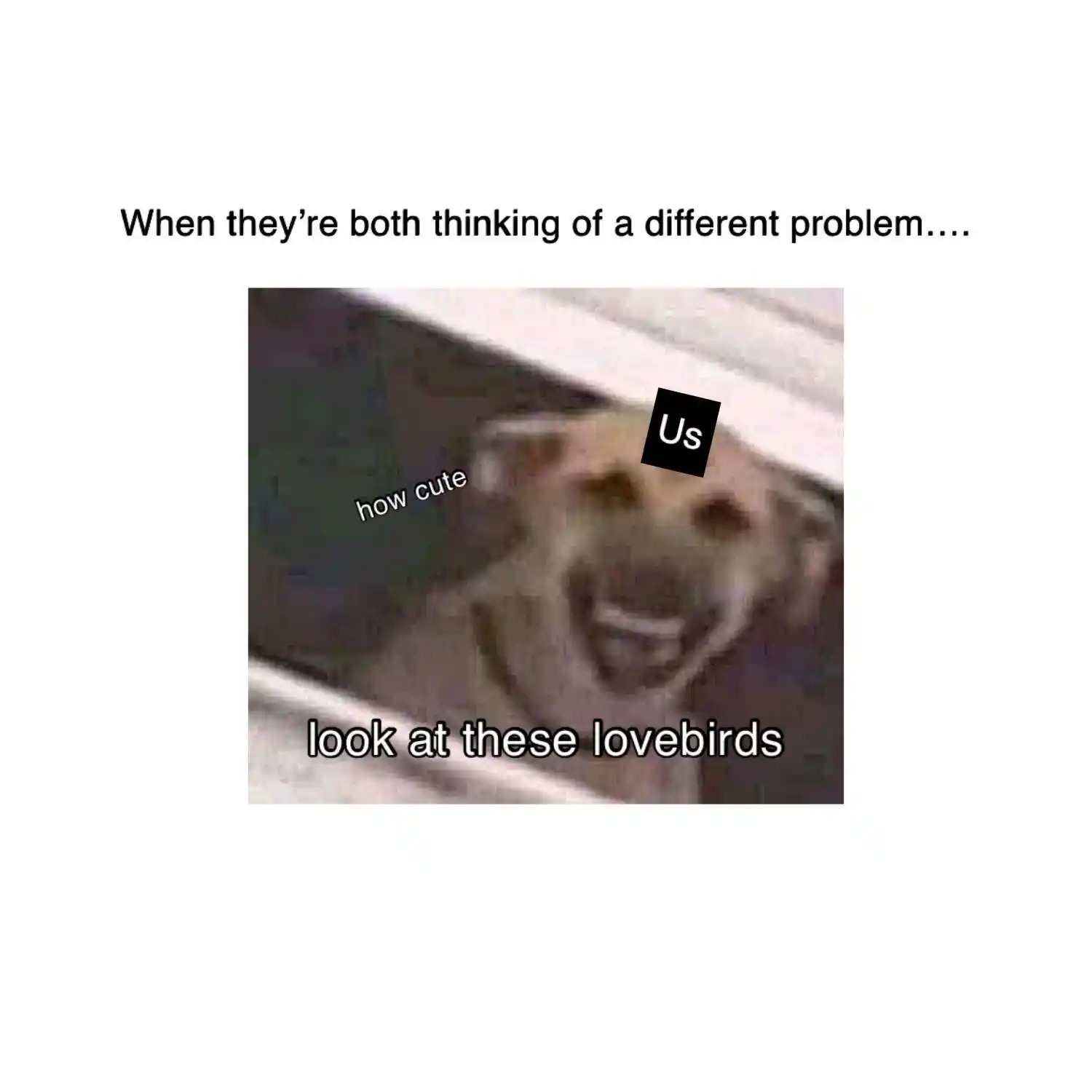 Kiss Me, Liar Chapter 26