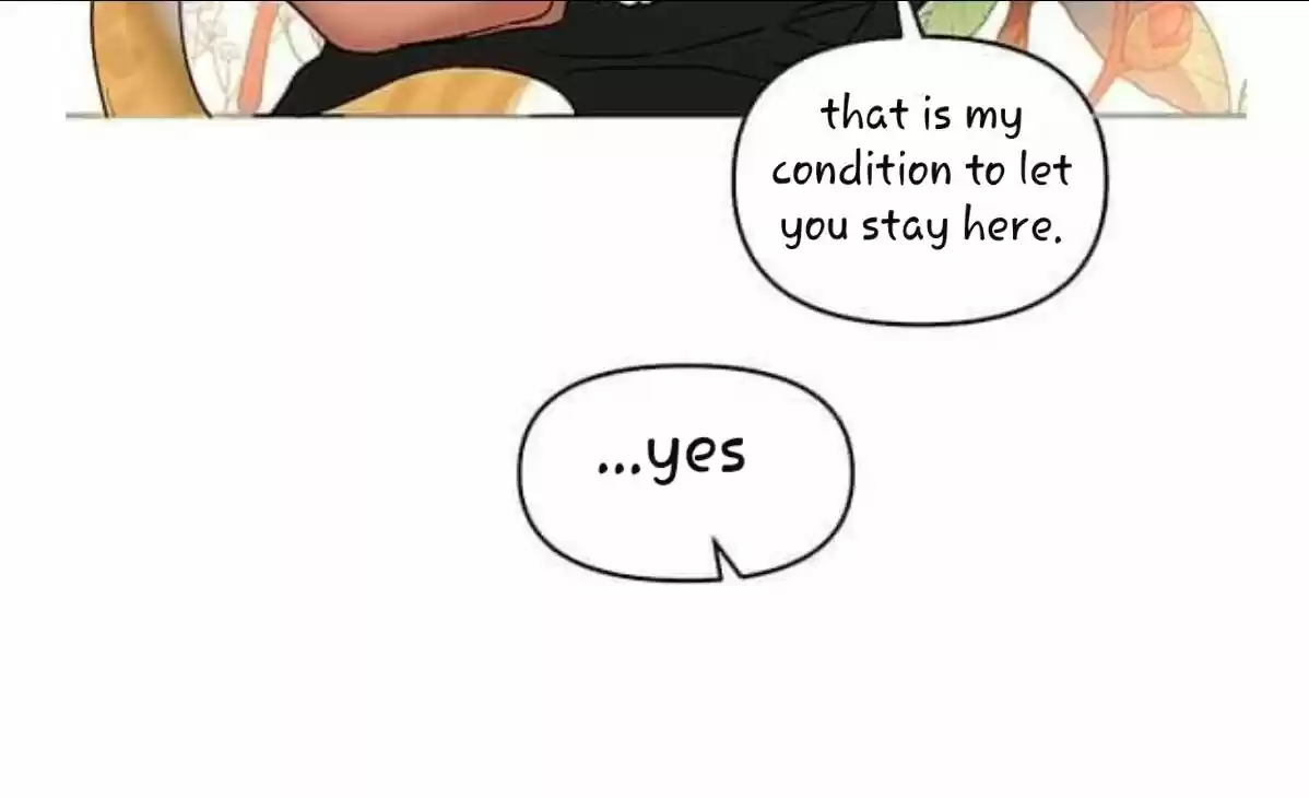 Kiss Me Liar Chapter 36