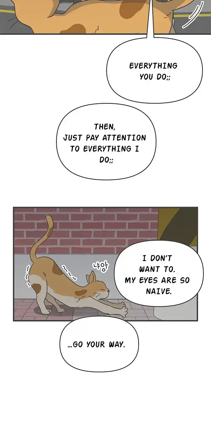 Koi wa Misoji o Sugite kara Ch.020