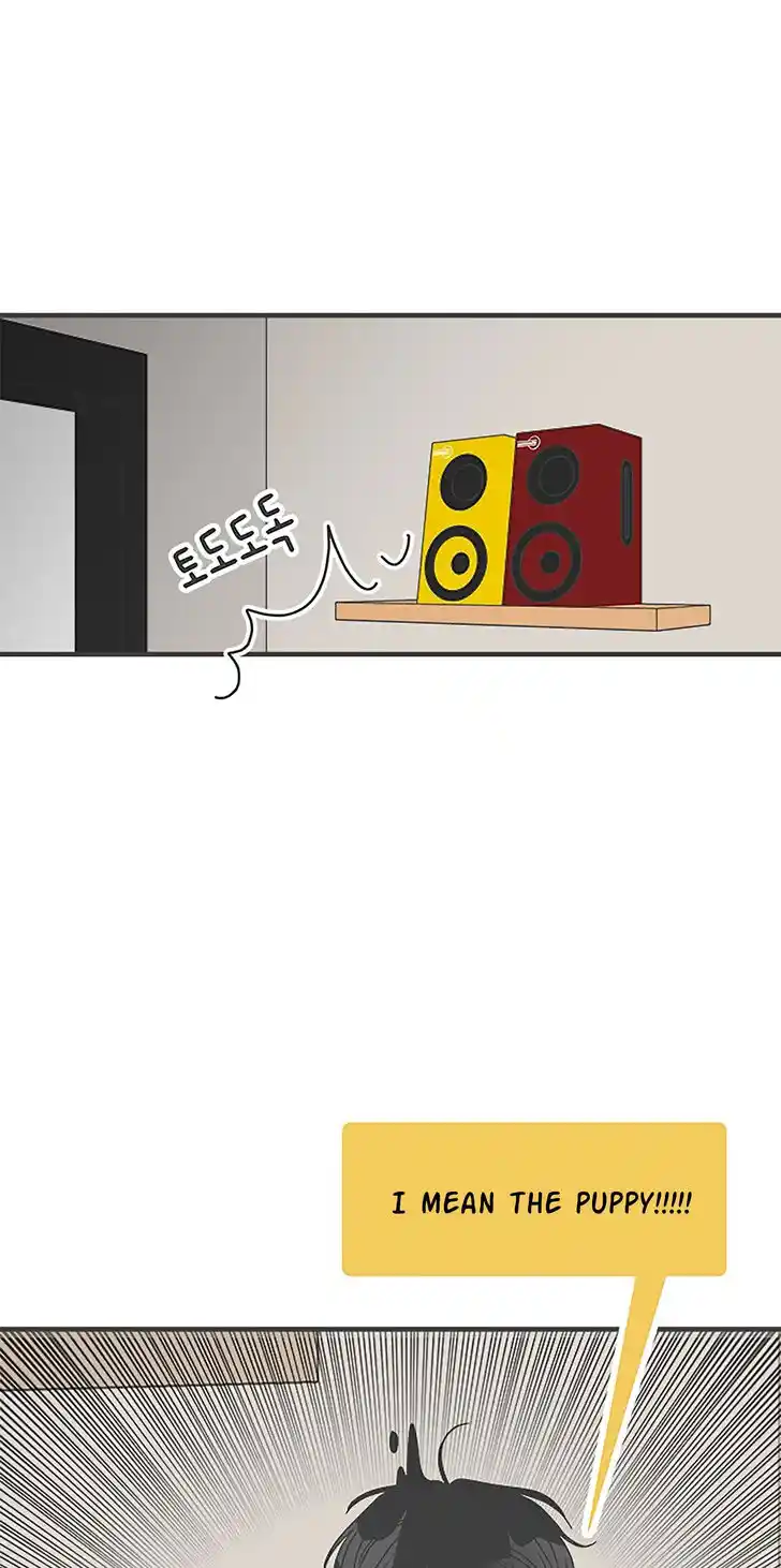 Koi wa Misoji o Sugite kara Ch.048