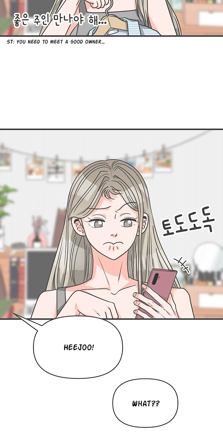 Koi wa Misoji o Sugite kara Ch.062