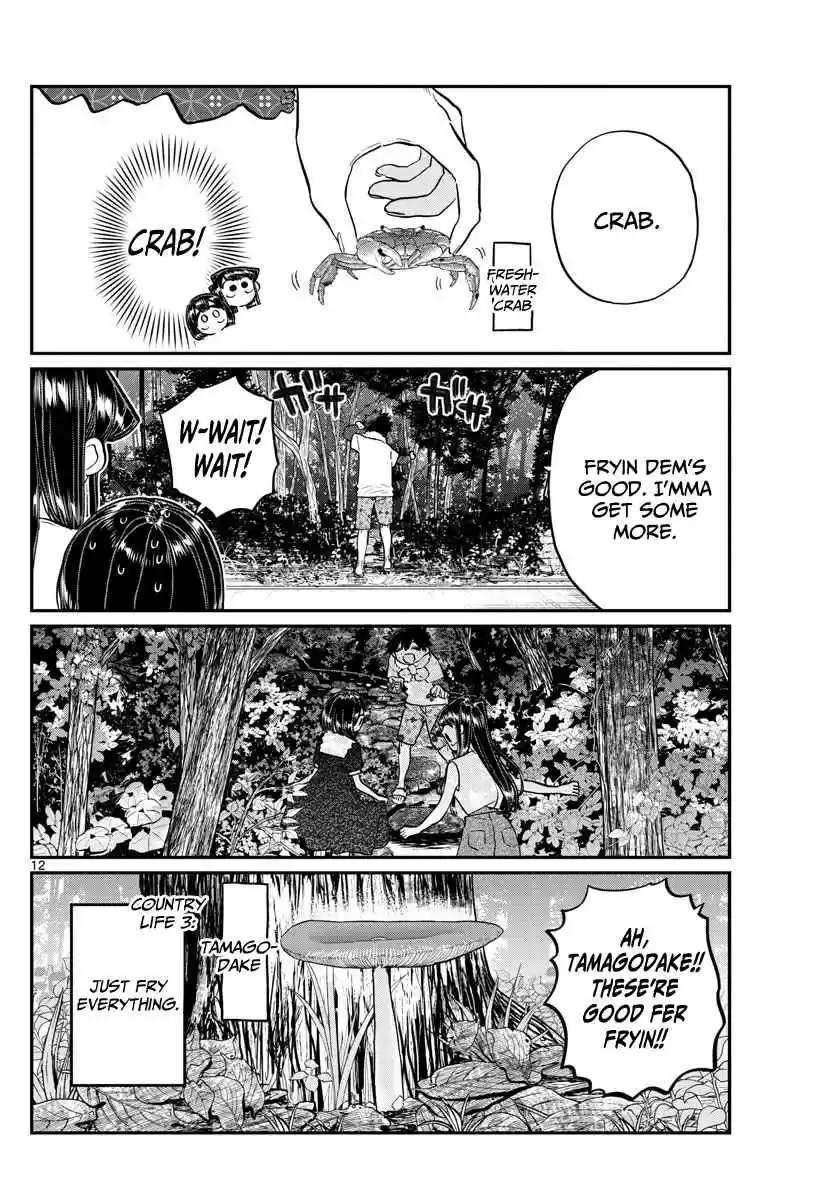 Komi san wa Komyushou Desu. Ch. 184 Playing in the Country