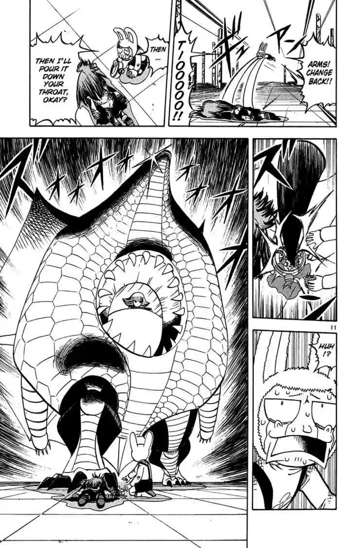 Konjiki no Gash!! 244