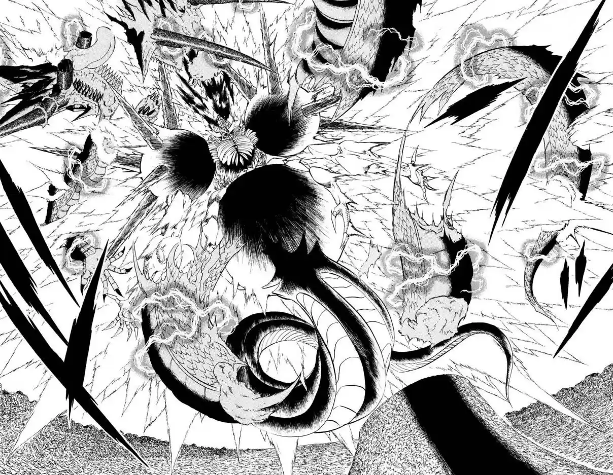 Konjiki no Gash!! Vol. 33 Ch. 315 The Answer...