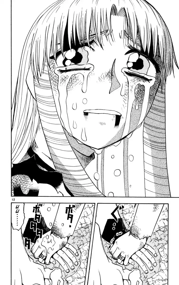 Konjiki no Gash!! vol.17 ch.161