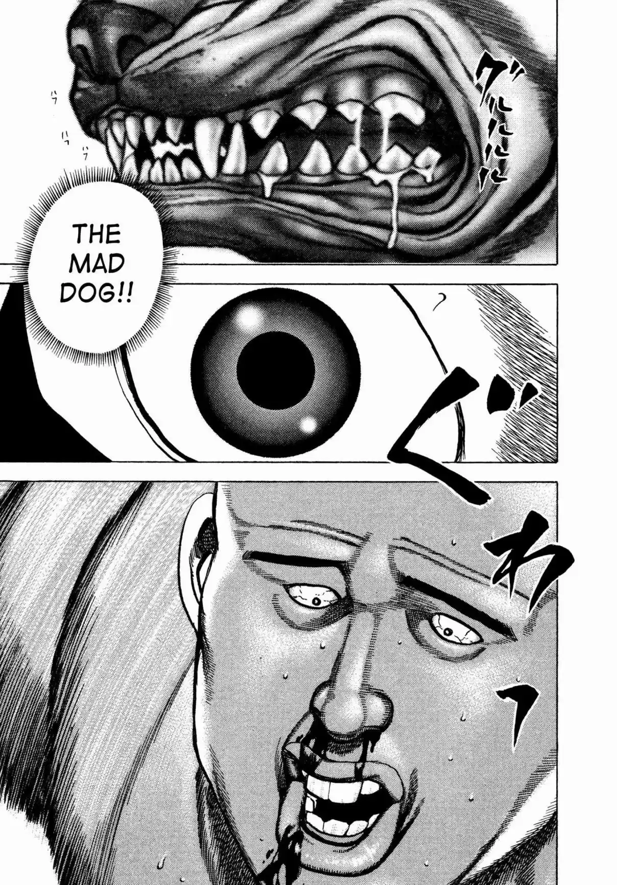 Koukou Tekken den Tough Vol. 28 Ch. 303 Playing Dog