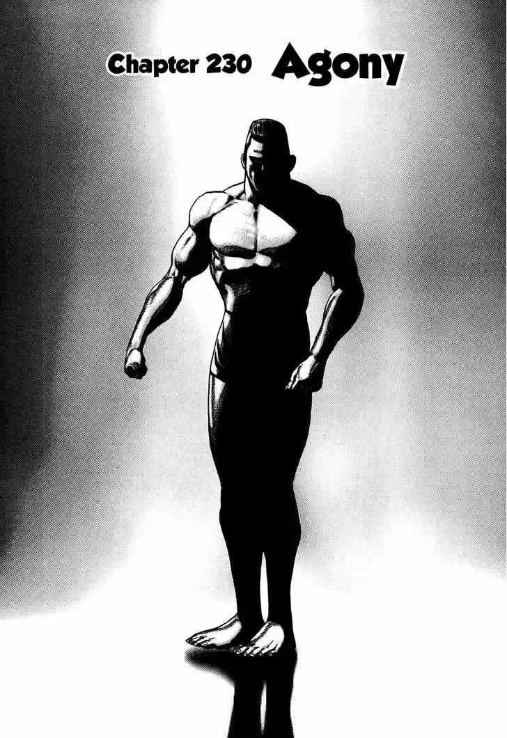 Koukou Tekkenden Tough 230