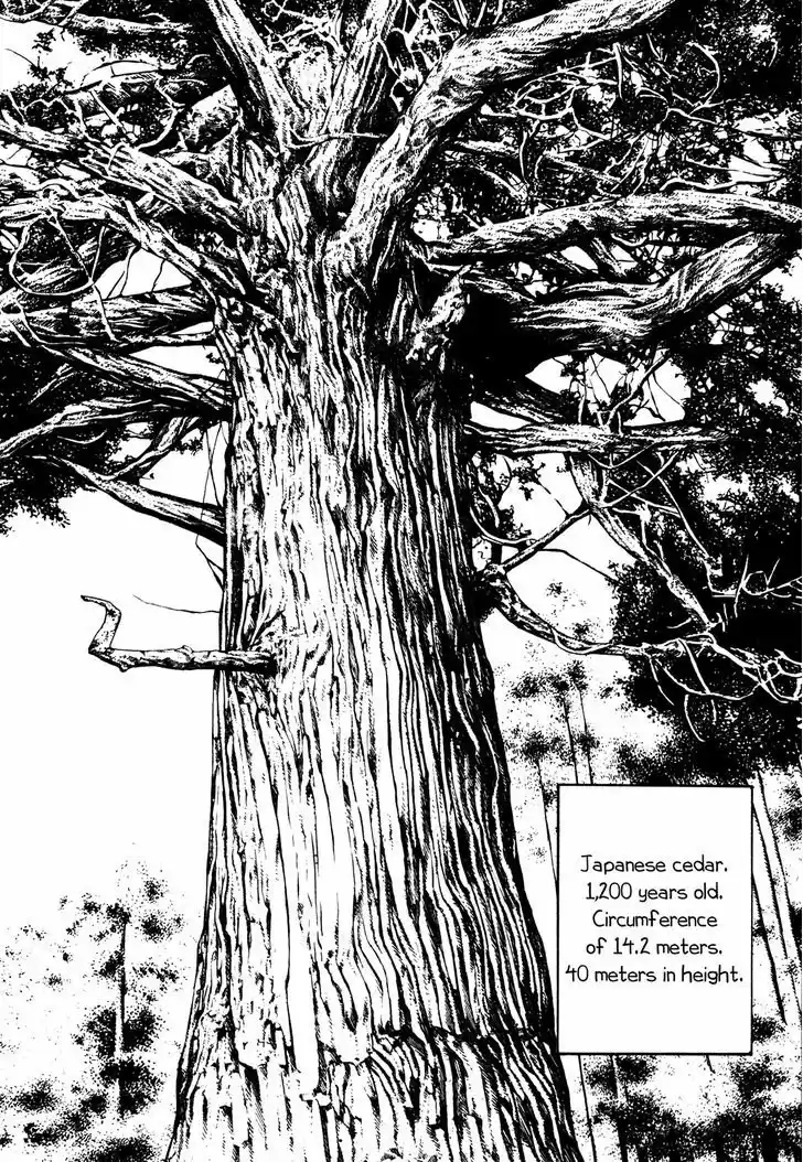 Koukou Tekkenden Tough 232