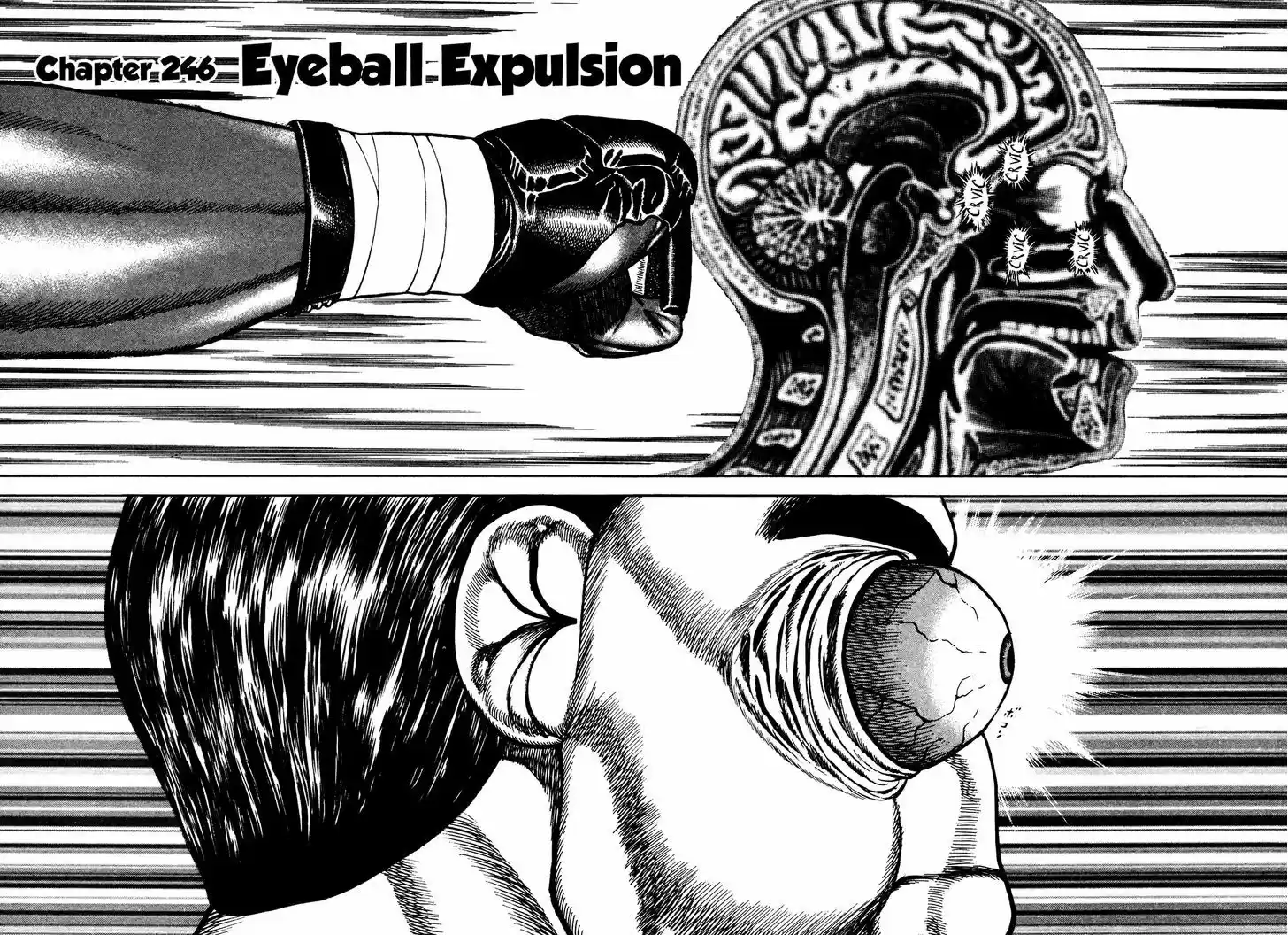 Koukou Tekkenden Tough 246