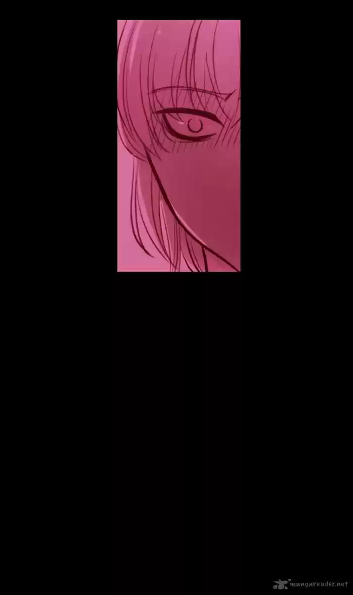 Kubera 335