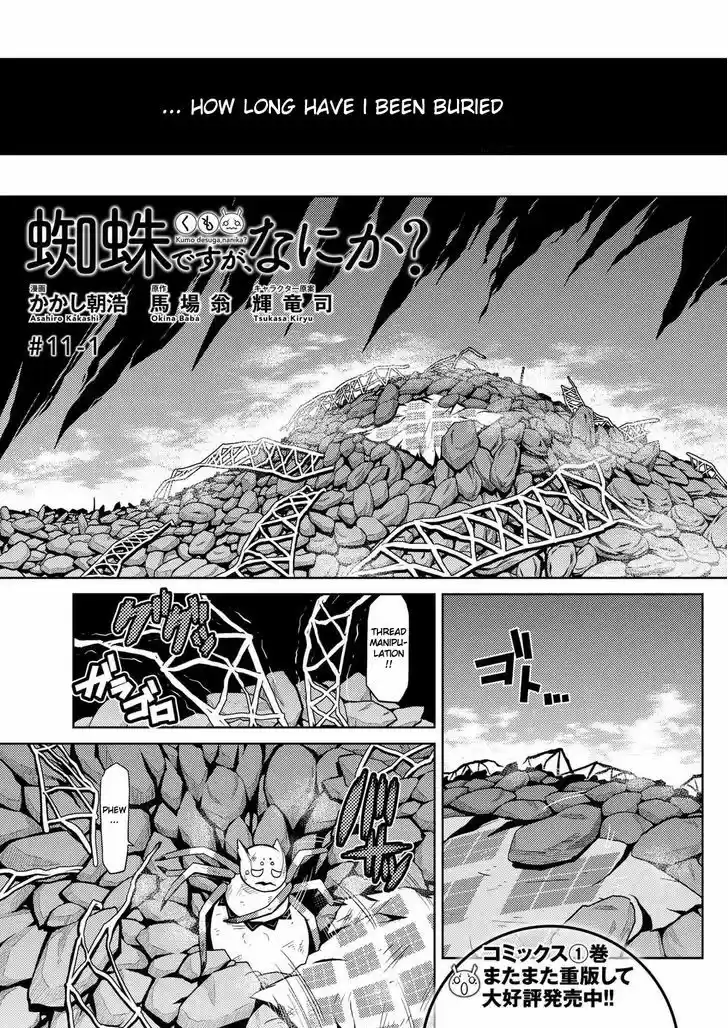 Kumo desu ga, nani ka? 11