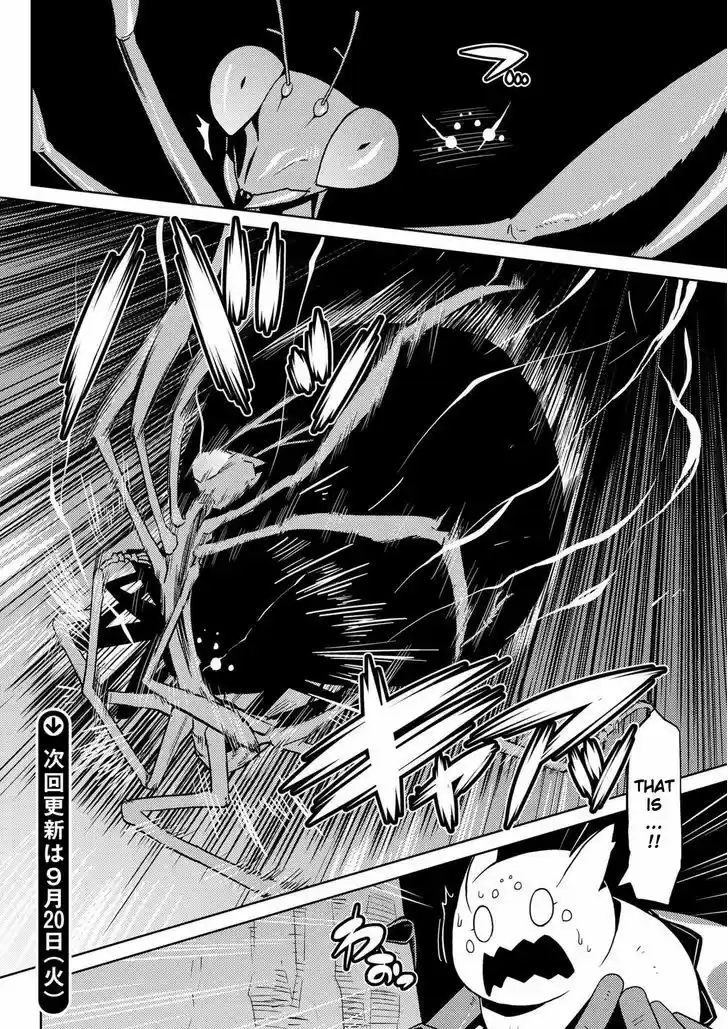 Kumo desu ga, nani ka? 11