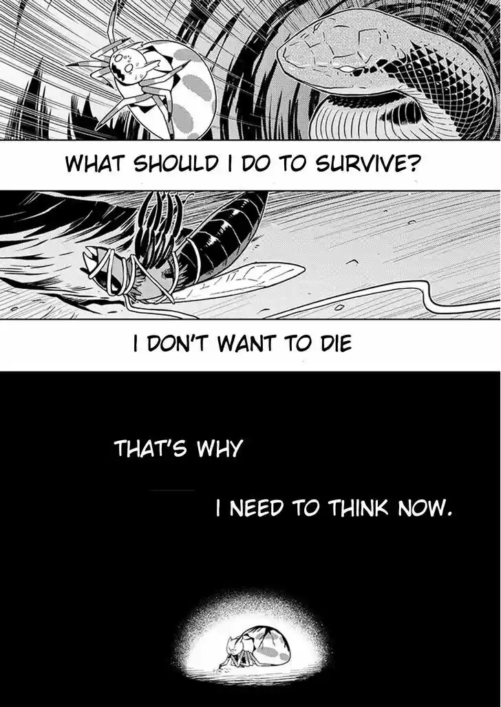 Kumo desu ga, nani ka? 8