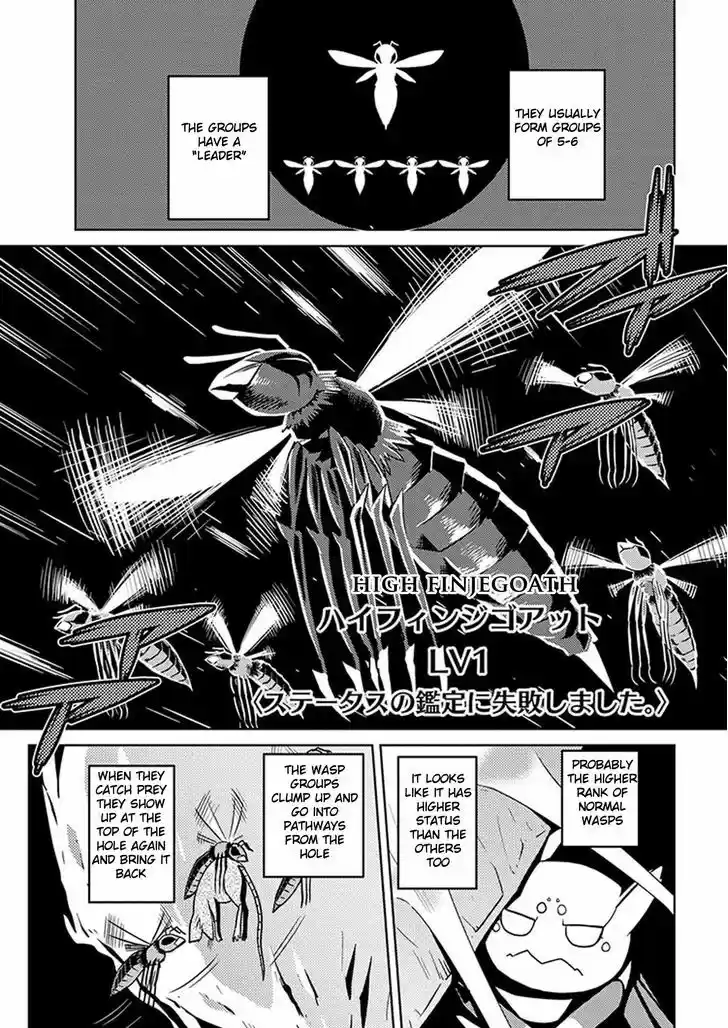 Kumo desu ga, nani ka? 8