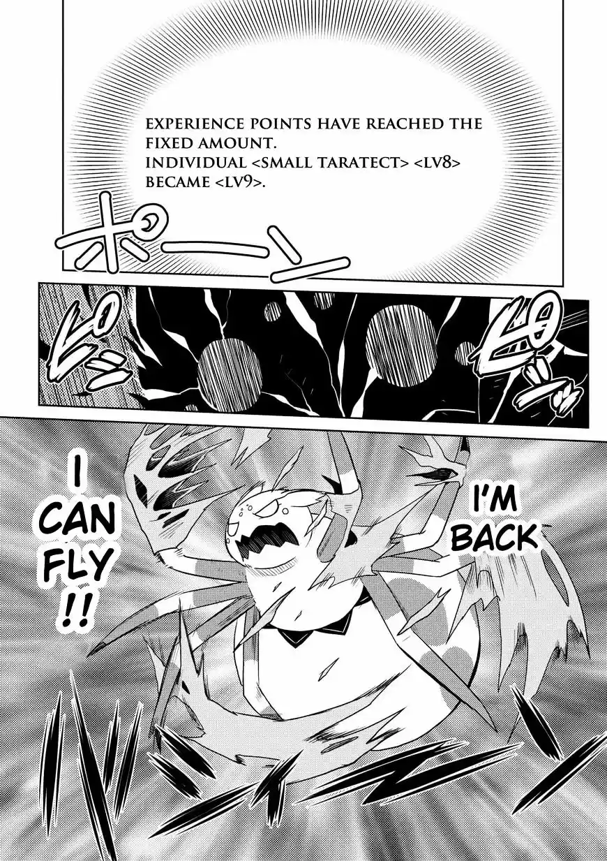 Kumo desu ga, nani ka? ch.14.3