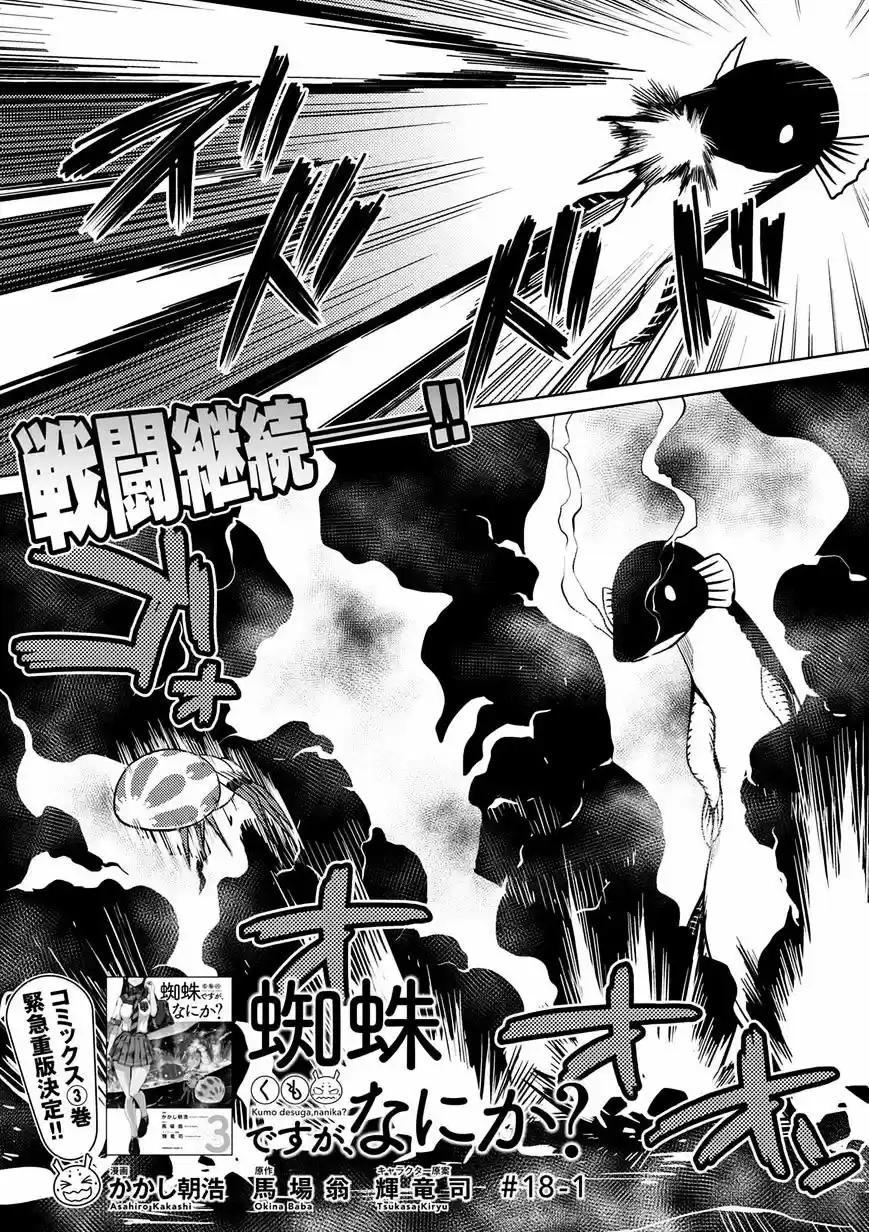 Kumo desu ga, nani ka? ch.18.1